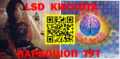 мдма Камышлов
