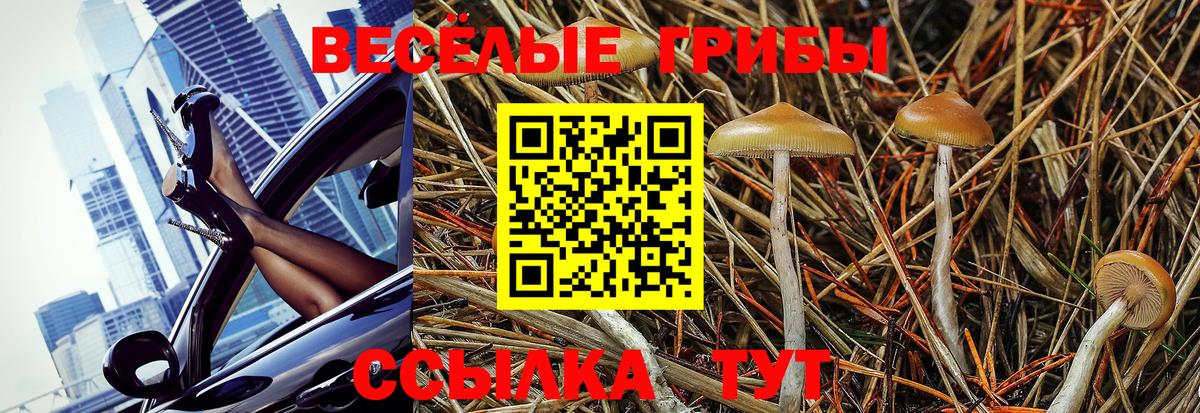 Галлюциногенные грибы Magic Shrooms Краснокаменск