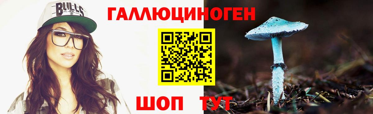 Псилоцибиновые грибы GOLDEN TEACHER  Вход с VPN  Краснокаменск  Галлюциногенные грибы мицелий 